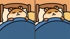 Łamigłówka: czy znajdziesz 3 różnice na obrazku z chomikiem w 29 sekund?