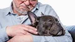 Spokojne i oddane: 5 ras psów, które ogrzewają serca seniorów