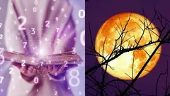 Kalendarz księżycowy na styczeń 2026: te 8 dni będzie najbardziej udanych