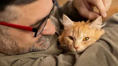 Kot przytula się nie z czułości: sygnał, który opiekunowie często ignorują