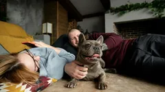 Od czubka nosa po koniuszek ogona: jak zrozumieć mowę ciała swojego psa