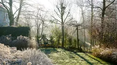 Czy należy podlewać trawnik zimą? Odpowiedź ekspertów