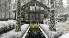 Jak chronić rośliny ogrodowe przed zimowymi oparzeniami – porady ogrodnika