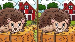 Zagadka: czy potrafisz znaleźć 3 różnice na obrazku z jeżem w 25 sekund?