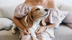 Psia miłość jest bardziej skomplikowana, niż się wydaje: oznaki ważniejsze niż tysiąc słów