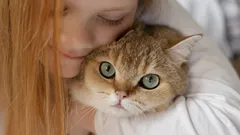 Lubisz koty? Psycholodzy wskazali 5 typowych cech charakteru takich osób