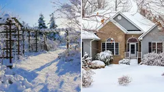 Co zrobić w ogrodzie w styczniu: 7 porad od królewskiego ogrodnika