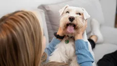 Twój pies czeka, aż to powiesz: 8 słów, które zamienią pupila w kulkę szczęścia