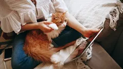 Dlaczego kot lgnie właśnie do ciebie – zoolodzy zdradzają sekrety jego przywiązania