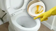 Kamień w toalecie zniknie bez śladu: wrzuć do muszli tabletkę, którą każdy ma w domu