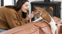 Dlaczego warto pogłaskać psa przed wyjściem z domu: rada dla wszystkich właścicieli