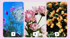 Test psychologiczny: wybierz kwiat i poznaj swój główny talent